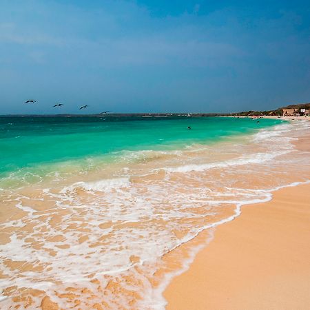Oz Hotel Luxury Cartagena 外观 照片